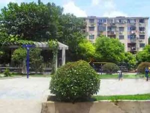 江桥一村1室1厅南北