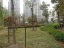 晶彩世界 精选房源 全新装修 拎包入住 交通便利