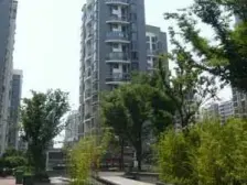 电梯复式8复9+全景视野+露台 阳光满屋