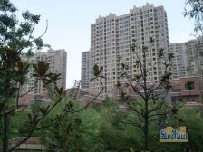 保利家园南区 1室2厅 南