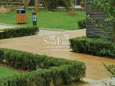 爆款房源,老静安南北大三房,位置安静,鸟语花香!