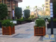 爆款房源,老静安南北大三房,位置安静,鸟语花香!