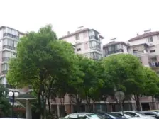 南北通二房小孩子上学方便