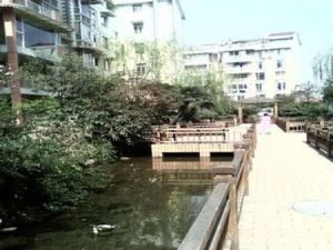 安信花园 5室1厅 东南