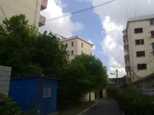 陆凌新村 1室1厅 南