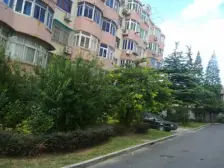 陆凌新村 1室1厅 南