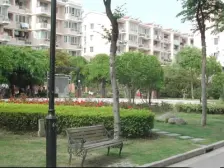 黄浦江畔的优质小区+双轨交汇环境好+喜欢小院的看过来