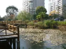 百年明强 电梯房 无抵押 精装,必看好房近体育公园