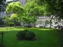 宏泰公寓 3室2厅 东南