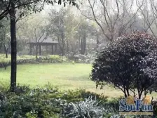 业主忍疼割爱/已经赔了,出国移民不再留后路