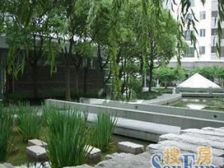 保养好,高区三开间朝南,光线足