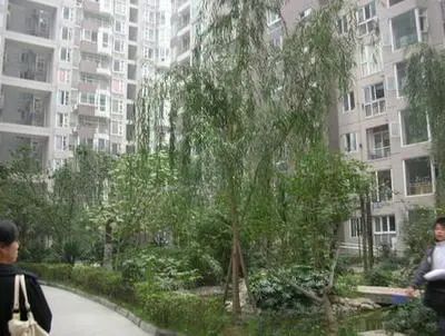 自由星城一期实景图