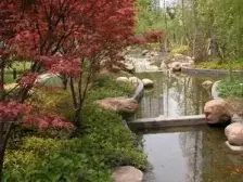 国际丽都城 1室1厅 南