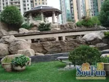 国际丽都城 3室2厅 南 北