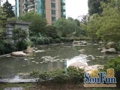 国际丽都城实景图