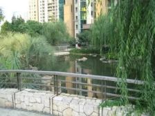 品质小区。人车分流,坐拥南京西路。花园社区。全明户型