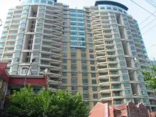 国际丽都城 1室1厅 南