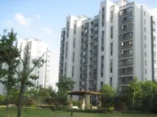 中间楼层 电梯房 新上房源