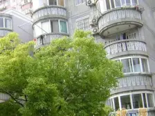 东方明珠小区 3室2厅 南