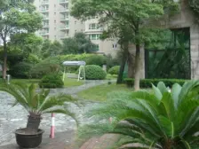 静安寺街道高品质两房 满五 w1,楼层好采光视野佳