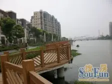 丽湾国际中间楼层 南北通透 全天采光 近地铁