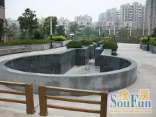 顶楼复试,毛坯,可读书,视野采光好,看房方便