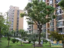 天山星城四期高区精装 景观大一房 稀.少资源 可拎包入住