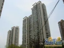 近地铁,电梯房,随时看房 无抵押 新上房源