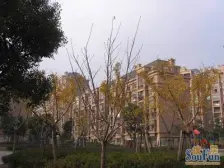 美岸栖庭一期3室南朝向680.00万元/套出售