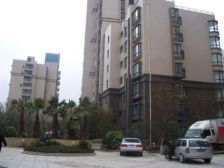 徐汇滨江07年社区,很少出来的正一房,龙华中路地铁口,对东二