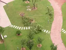 近地铁,电梯房 无抵押,新上房源