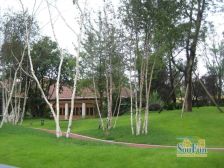 万科金润华府 2室1厅 西南 东北