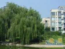 近地铁 电梯房,产权清晰,无抵押 热销好房