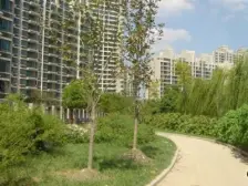 居家装修,近地铁,房型正气,全南户型,繁华地段,价格好谈,法式小高层