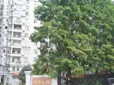 北外滩优秀历史保护建筑 低总价一房诚售