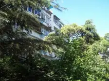 江湾镇一楼带天井+南北户型通风好+诚意卖可谈价