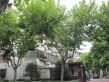 沧州路180弄小区实景图