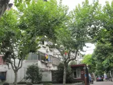 控江·沧州路180弄·1室·1厅