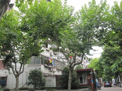 沧州路180弄小区实景图