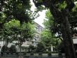 沧州路180弄小区实景图