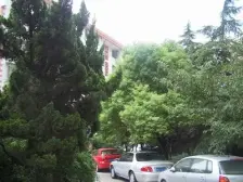 曲阳公园旁,小区维一一套南北边套户型,欢迎咨询