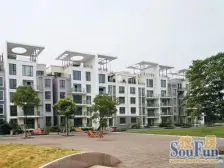 奥林匹克花园 1室2厅 南