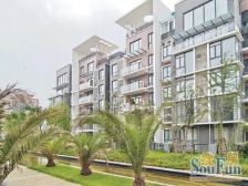 奥林匹克花园 1室1厅 南