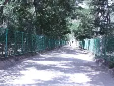 森林小区/主楼大平层 /50万的精装修/三室两厅两卫