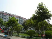 川沙·界龙花苑·2室·2厅