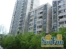 董家渡·明日星城·3室·2厅