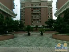 泰德苑 1室2厅 南