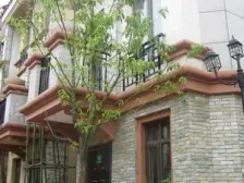 5房设计、户型方正、附地下室餐厅挑空、一车库一车位