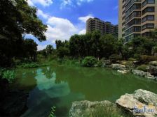 黑森林精装修正气大三房,俯瞰森林海