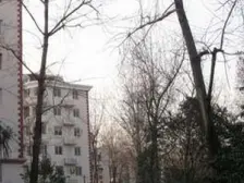 小两房户型正,全明户型,采光视野好,双轨交汇